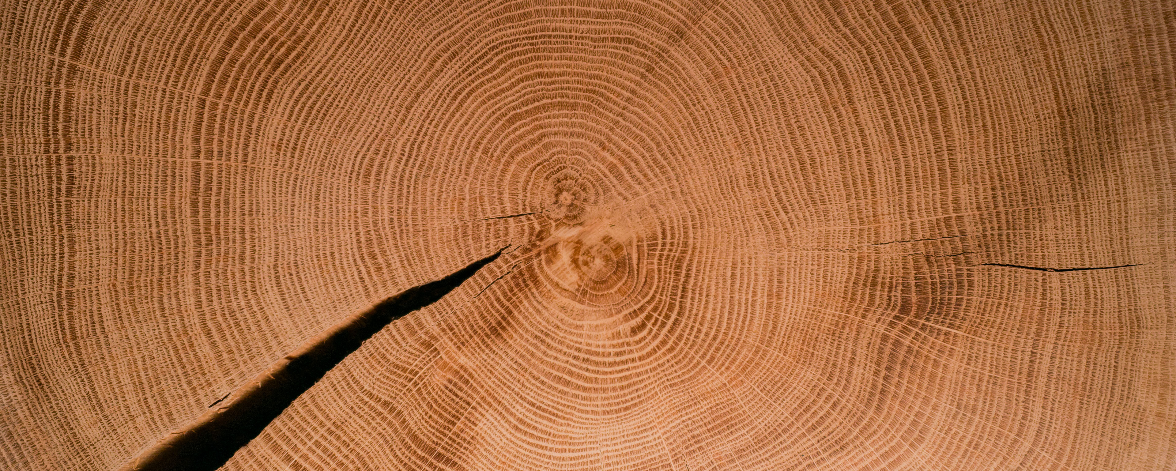 Detailansicht des Holzmaterials